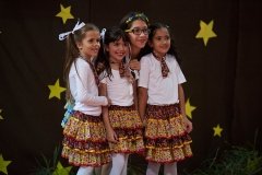festa_junina (156)