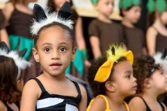 _abertura_infantil (27)