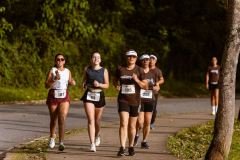 0202-Copy