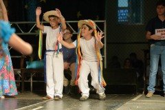 DSC2530