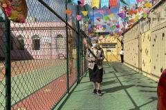 IMG_1372-Copy