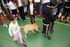 Carmo_FeiraCultural_2019239