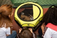 Carmo_FeiraCultural_2019241