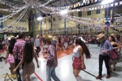 IMG_3668-Copy