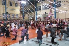 IMG_3725-Copy