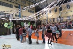 IMG_3742-Copy