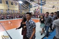 IMG_3746-Copy