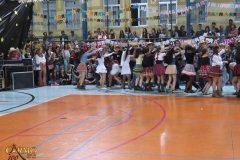 IMG_3767-Copy