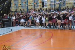 IMG_3769-Copy
