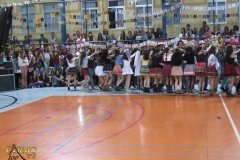 IMG_3771-Copy
