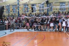 IMG_3774-Copy