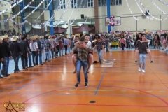 IMG_3795-Copy