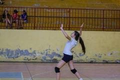 VF_JEVs-12