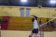 VF_JEVs-48