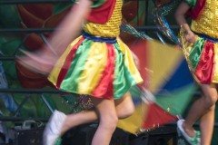DSC6353