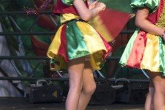 DSC6374