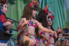 DSC6780