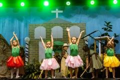 0293-Copy