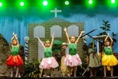 0294-Copy