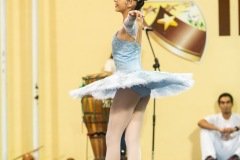 CARMO_apresentacoes_2019_150