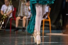 CARMO_apresentacoes_2019_164