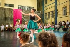 CARMO_apresentacoes_2019_168