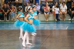 CARMO_apresentacoes_2019_293
