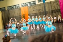 CARMO_apresentacoes_2019_308