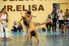 CARMO_apresentacoes_2019_371