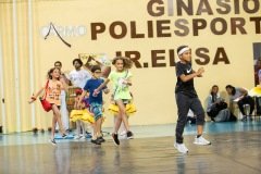 CARMO_apresentacoes_2019_85
